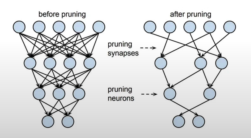 Pruning